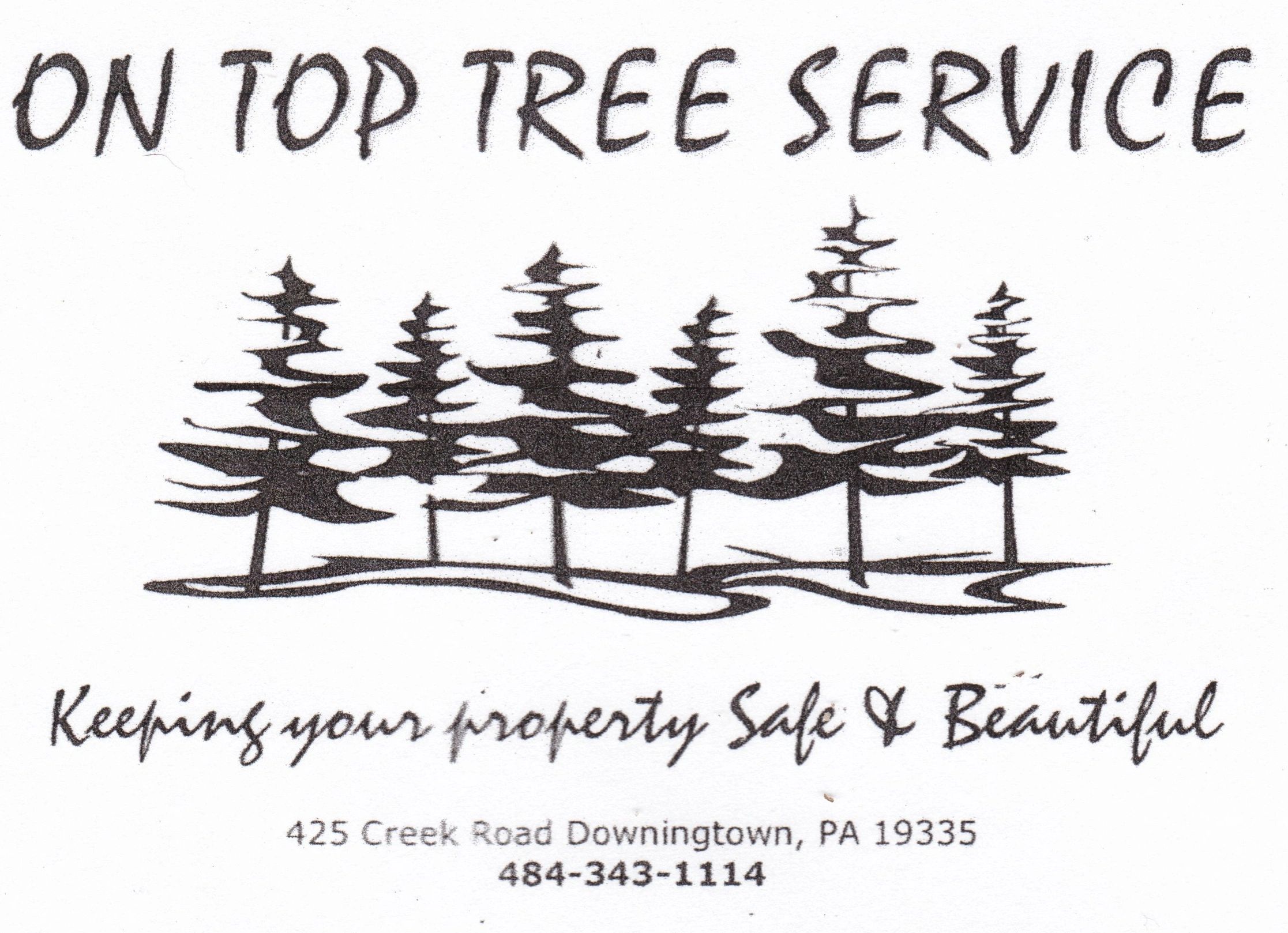 On Top Tree Service